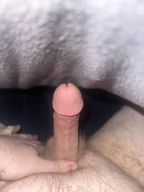 22[M] looking for a F/FM/select males please DM me Thumbnail