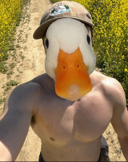 28 [M4F] #Honolulu - Virgin looking to practice oral or have you sit on my face Thumbnail