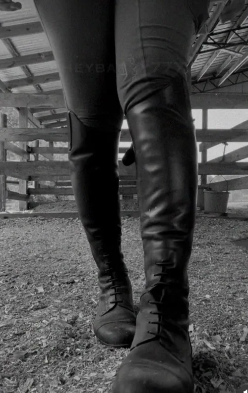 All ready for a ride Thumbnail