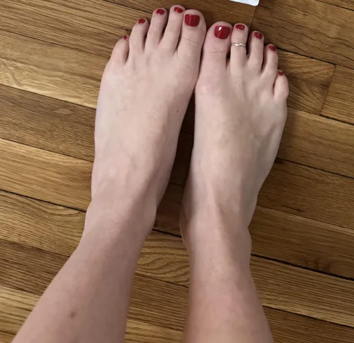 all snowed in Thumbnail