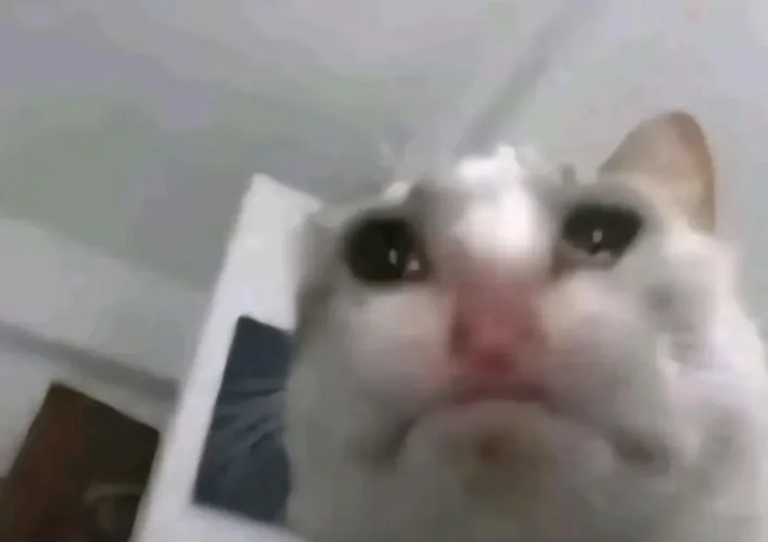 Anyone remember the “a little more x” mods? I can’t find them anymore. Thumbnail