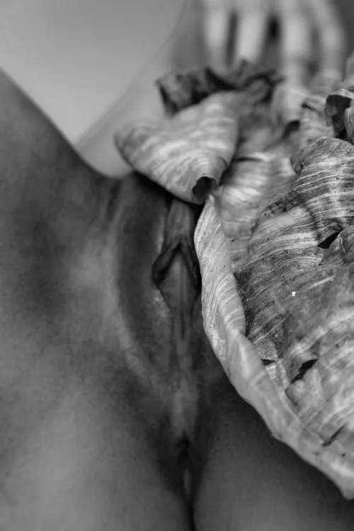 Banana Leaf Thumbnail