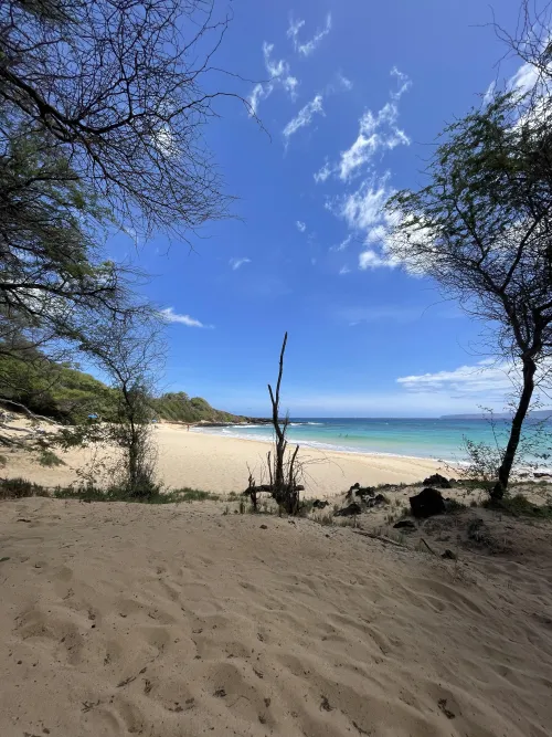 Beautiful day ;) m24 Thumbnail