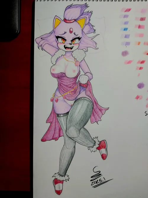 Blaze the Cat [The Murder of The Sonic The Hedgehog] (zola0420) colorized Thumbnail