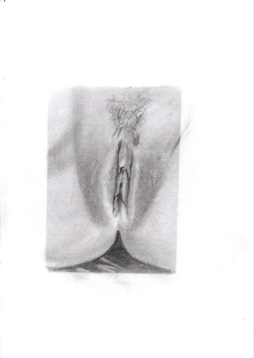 Brazilian beauty by me Thumbnail