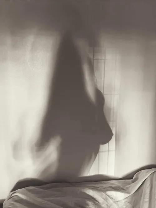 Caught the perfect silhouette Thumbnail