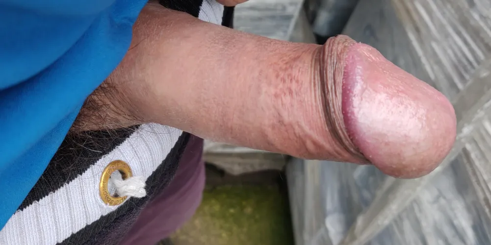 Cercasi ciucciacazzi Thumbnail