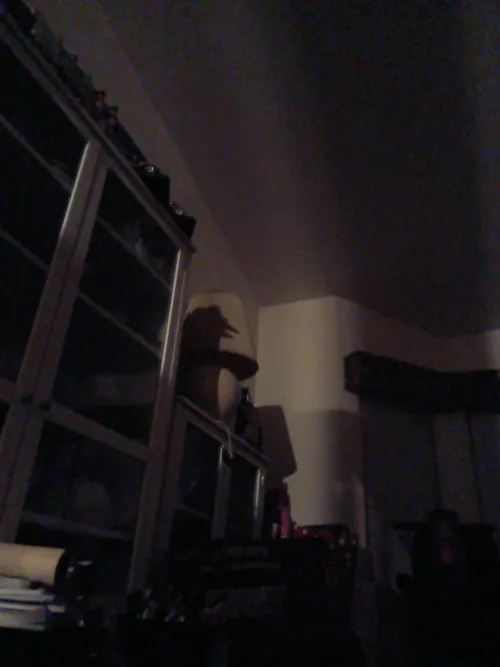 Cock on a lamp Thumbnail