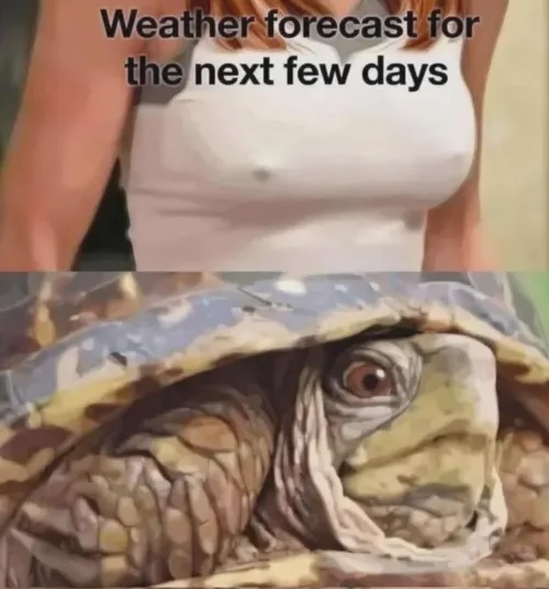 Cold ❄️ Thumbnail