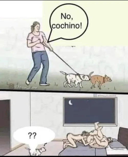 Contradictions Thumbnail