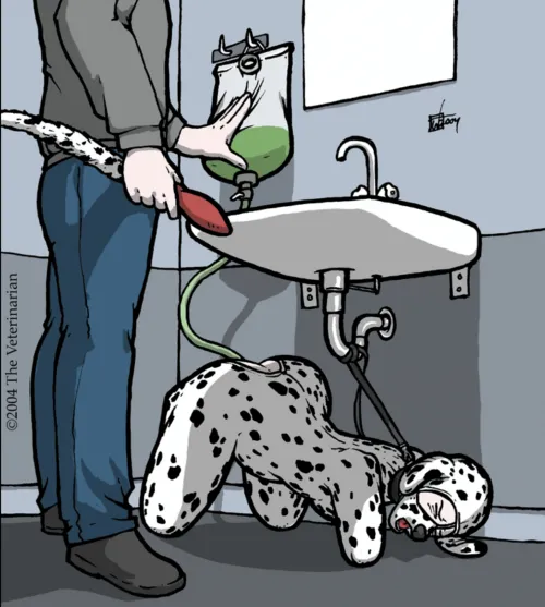 Enema Training by The Veterinarian Thumbnail