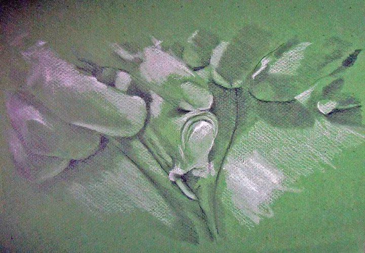 erectus by me Thumbnail