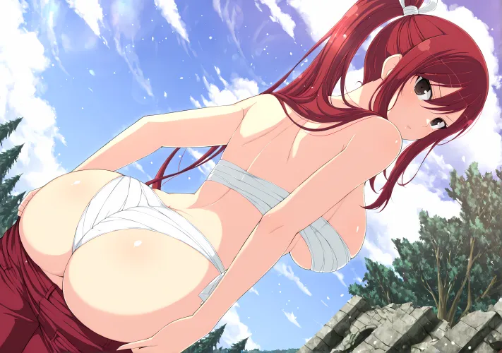 Erza's big ass [Fairy Tail] - chausX Thumbnail