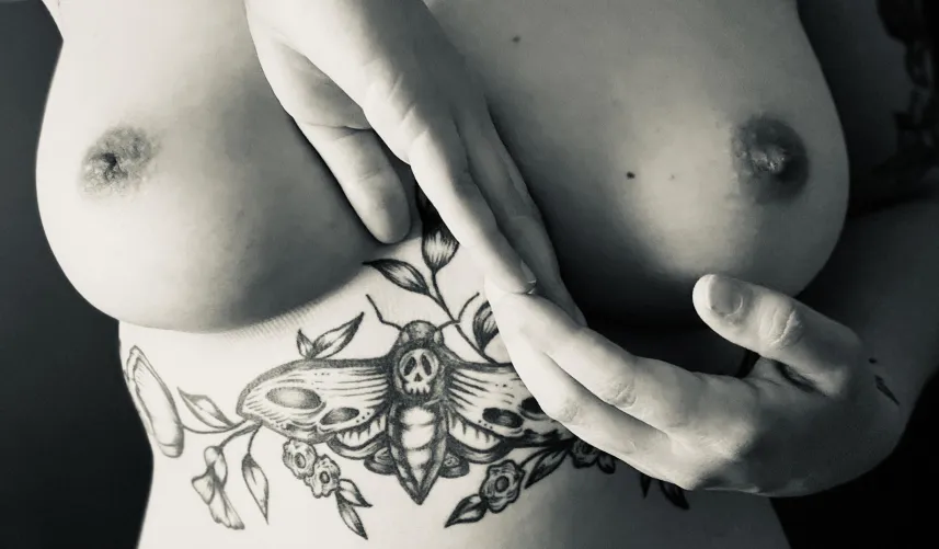 Every Line Every Curve Thumbnail