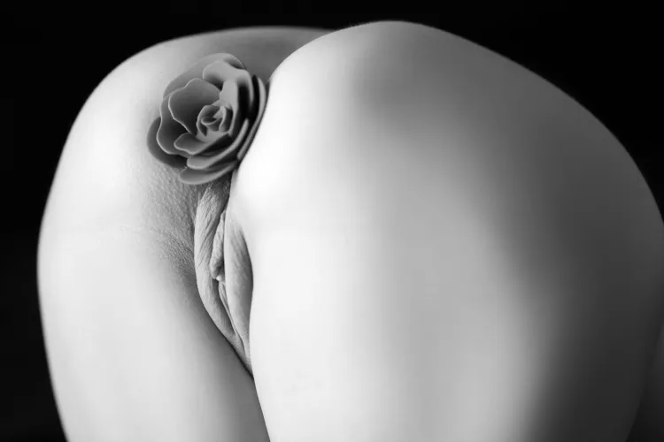 Flowers turn to greet the sun Thumbnail