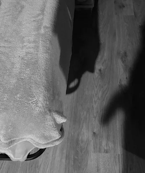 fun with shadows by me Thumbnail