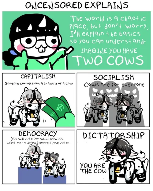 Funny examples Thumbnail