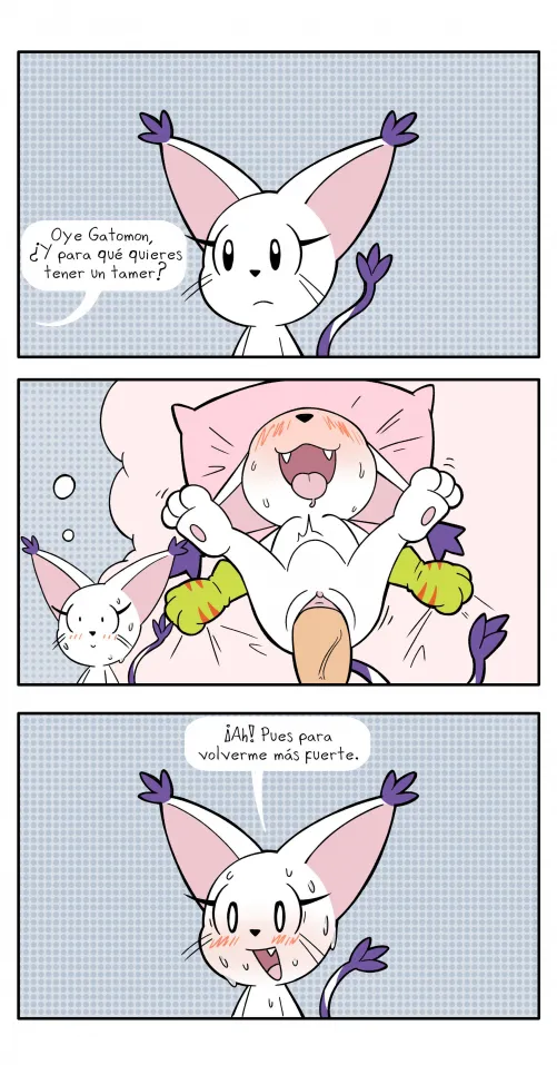 Hey Tailmon, so...¿what's the reason behind having a 