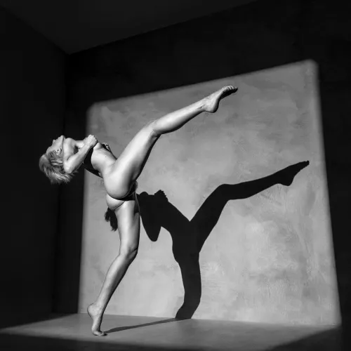 High-stepping shadow Thumbnail