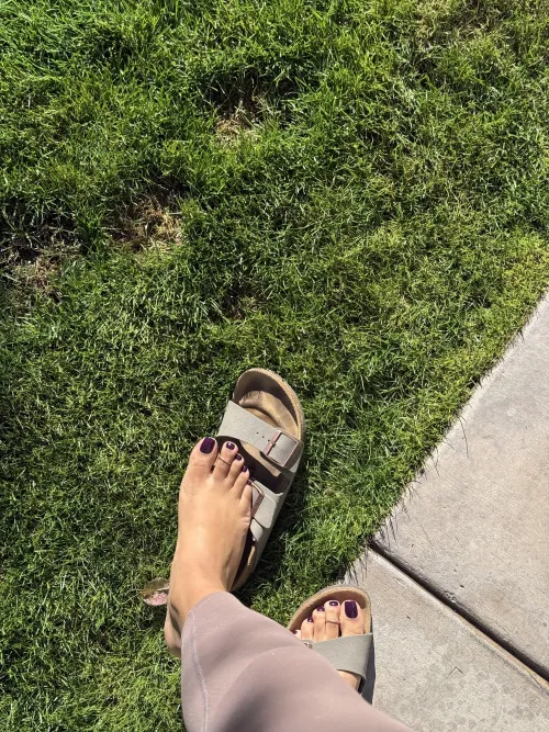 I could wear Birks any day Thumbnail