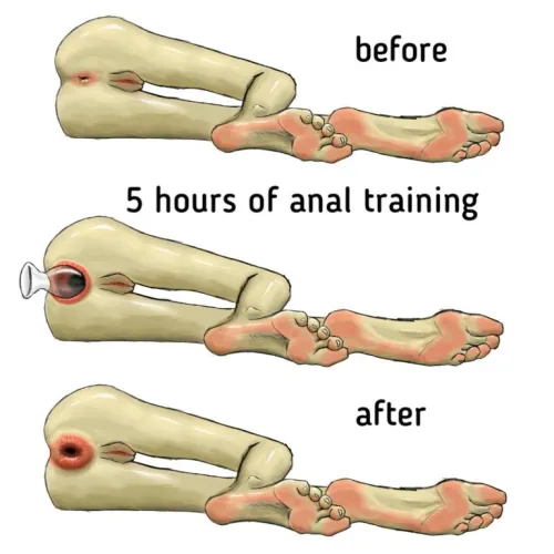 Im new at drawing assholes Thumbnail