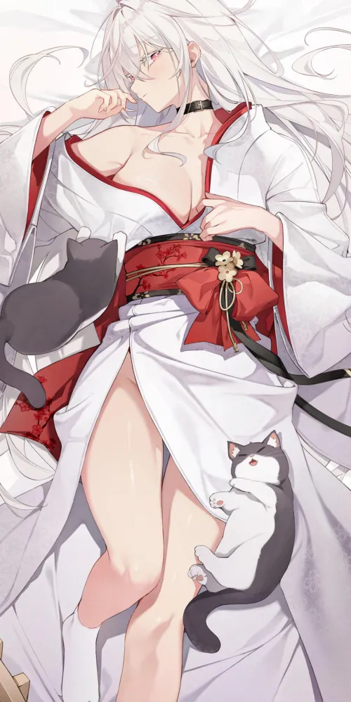 In bed with the cats Thumbnail