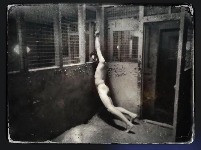 In the old shed Thumbnail