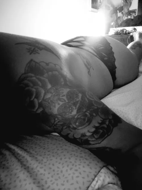 In the spotlight. Thumbnail