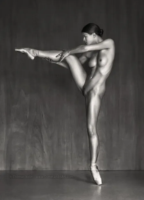 Loaded Gun, by Thomas Holm Thumbnail