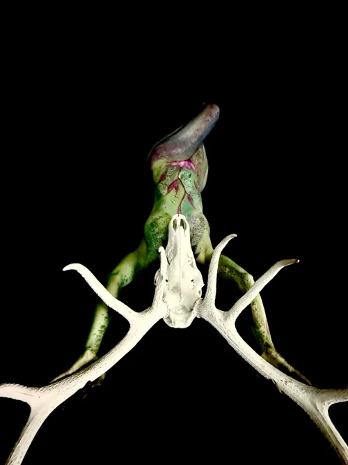 LucidArtDreams - Aewyn Thumbnail