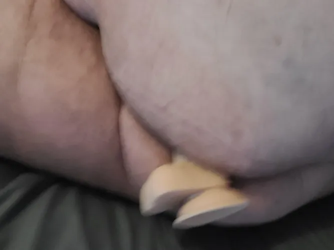 M54 KC never done anything but want to feel a cock in my mouth and ass... trans preferred but open to anything. Thumbnail