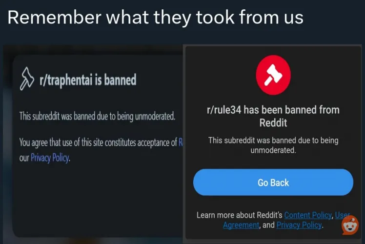 Massive NSFW sub purge Thumbnail