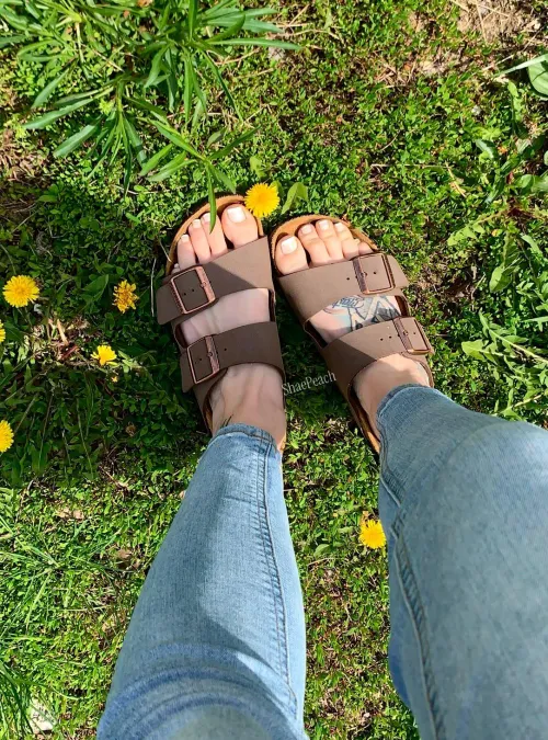 Missing the flowers and sunshine right about now!  Thumbnail