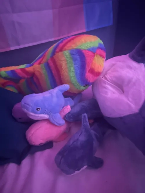 My blahaj came with a zipper and his friend couldn’t help himself and now they have a bunch of kiddos Thumbnail