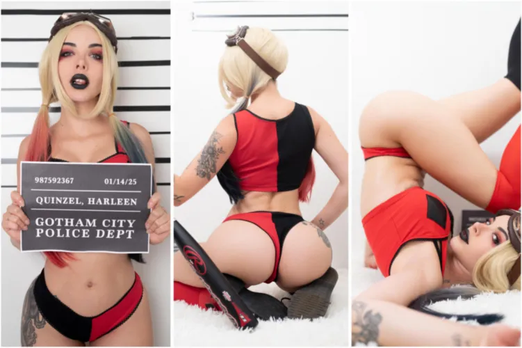 My Harley cosplay (Blizzard) Thumbnail