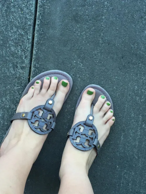 My wife wants to know if you like her Torys? Thumbnail