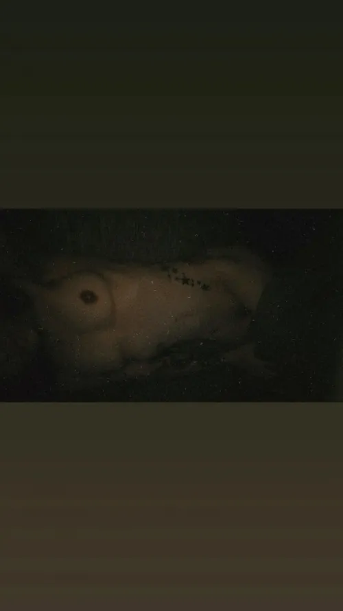 Night owl. Thumbnail