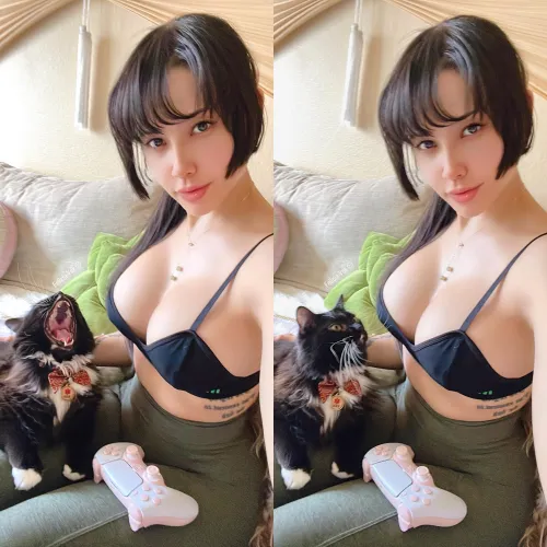 [OC][F] Fun fact: Pigeon poop is property of the British royal family. Thumbnail