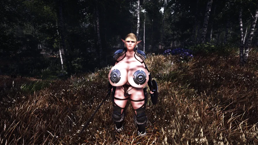 Paladin Alexandra, frontal view. Featuring Silent Horizons 2 ENB with Dynamic Cubemaps & boob squish. Thumbnail