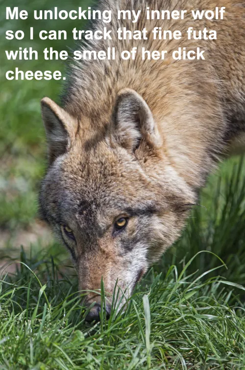 People call me the cheese sniffer Thumbnail