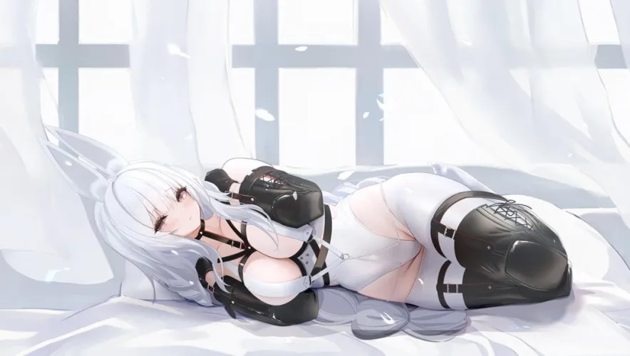 Pet training Thumbnail