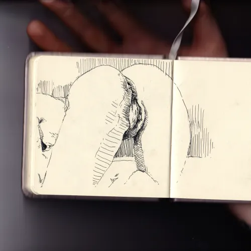 played with shadows Thumbnail