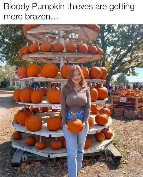 Pumpkin thieves Thumbnail