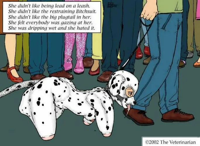 Recolonised image (artist unknown) drawn by the Veterinarian Thumbnail