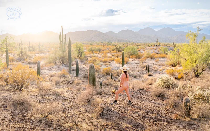 San Tan Mountains Thumbnail