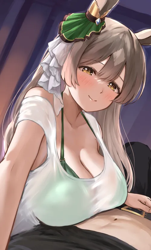 Satono Diamond [Umamusume] Thumbnail