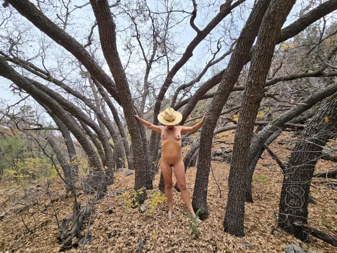 Scrub Oaks in the Prescott National Forest Thumbnail