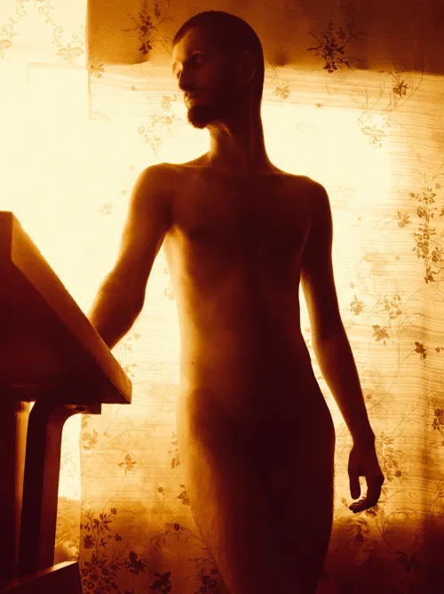 Silhouette Experiments Thumbnail