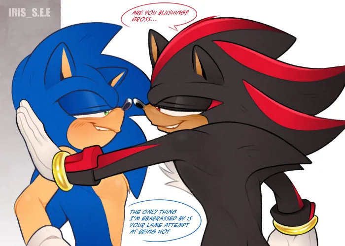 Sonic x Shadow GAY [MM] (irisseeart.bsky.social) Thumbnail