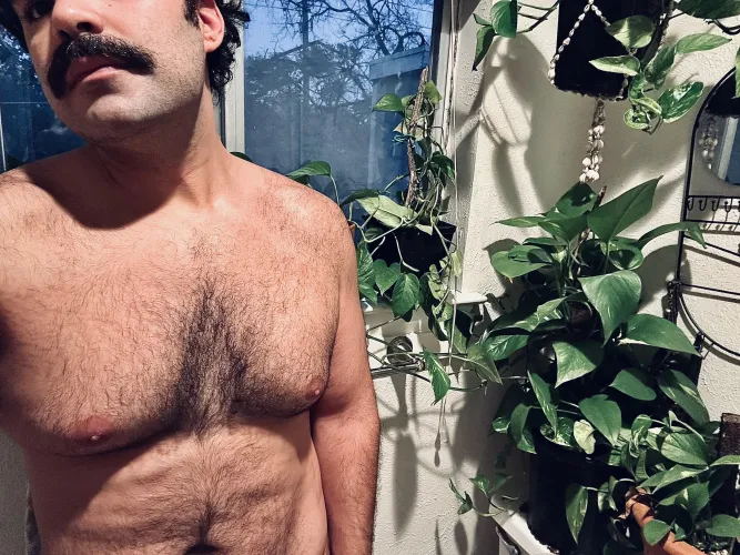 Spent all day bringing the plant gang indoors. ❄️ Thumbnail